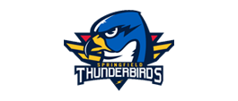 Bridgeport Soundtigers logo